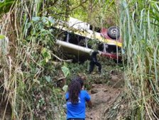 200b1694 395b 49af 8567 252313b9dfea 300x210