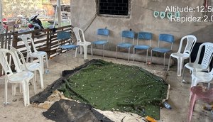 Quase trinta galos de briga com sinais de maus-tratos são apreendidos na Grande Aracaju