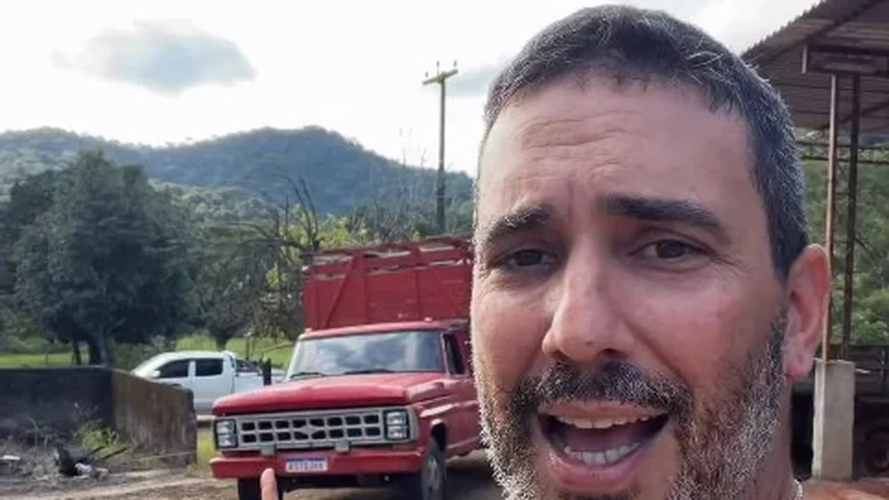Conheça Hope, a égua 'que ia virar carne seca' mas foi adotada por André Marques