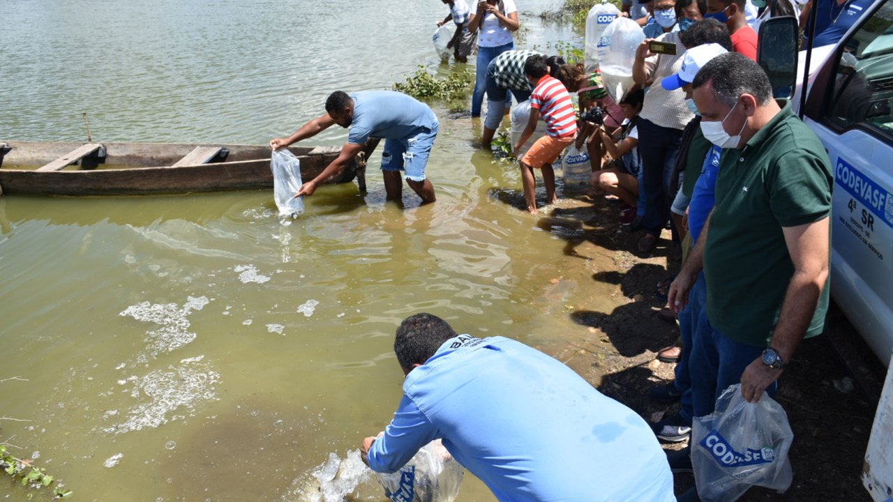 Codevasf e Ufal firmam protocolo de intenções para desenvolvimento regional em Alagoas