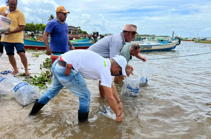 Feira dos Municípios Alagoanos: Codevasf apresenta programas e projetos federais de desenvolvimento regional