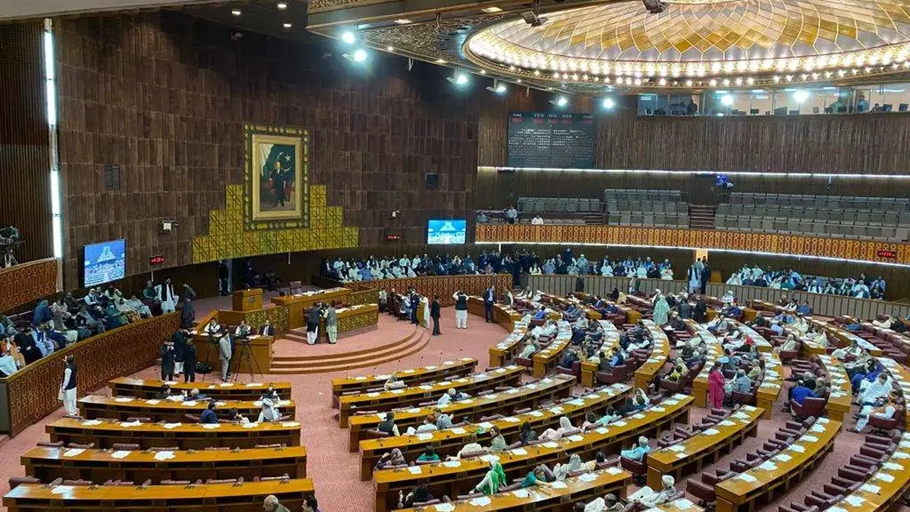 Parlamento do Paquistão é infestado por ratos grandes o suficiente para assustar gatos