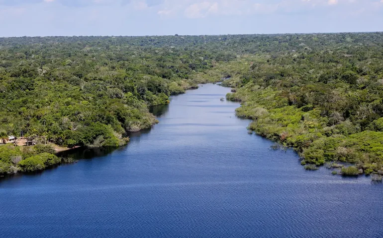 83% das empresas da pecuária não revelam compromissos ambientais, diz ONG Global Canopy