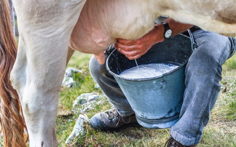 Comissão debate impactos de investigação sobre dumping no leite em pó