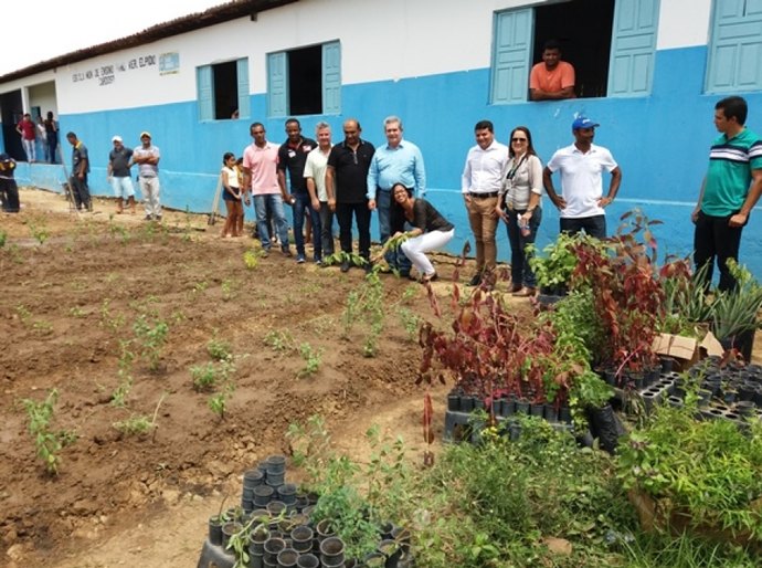 Horta de plantas medicinas é implantada em escola de São Braz