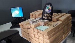 droga apreensão