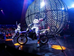 WhatsApp Image 2026-01-13 at 10.56.55 (1).jpeg 