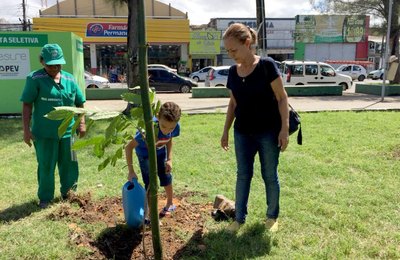 Prefeitura planta mais de duas mil árvores em Maceió