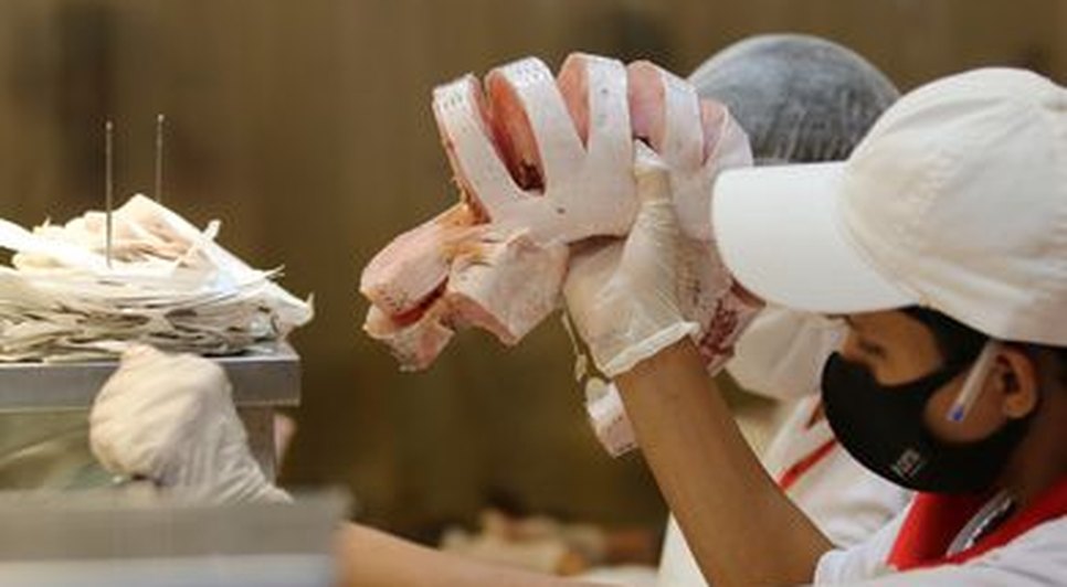 pescado0104215783.jpg / Foto: Foto: reprodução EBC