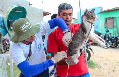 Arapiraca dá início à vacinação antirrábica para cães e gatos na próxima segunda 