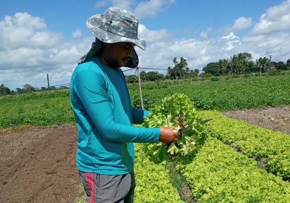 Estudo apoiado pelo Governo de Alagoas visa reduzir a dependência de importações agrícolas