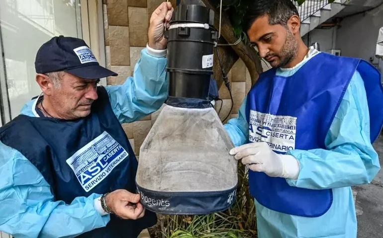 Região italiana soma mais de 20 casos de febre do Nilo Ocidental