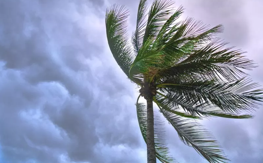 Alerta de ventos fortes em Alagoas deve atingir litoral e região metropolitana de Maceió