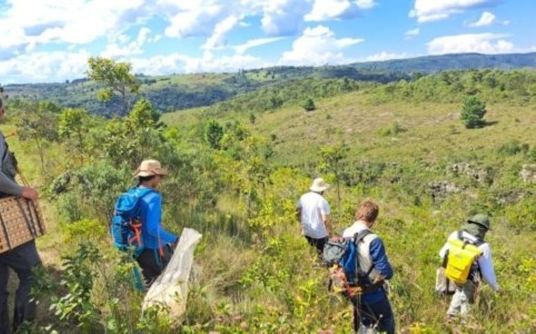 Crianças brasileiras feridas seriam filhas de haitianos