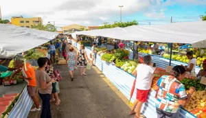 feira-do-augusto-franco-reorganizada-felipe-goettenauer-4-