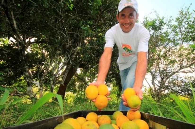 Seagri/AL promoverá primeiro seminário alagoano sobre fruticultura