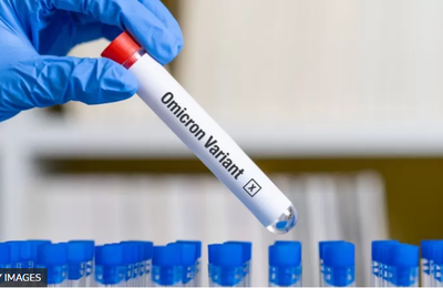 Sistema imunológico de vacinados e reinfectados resiste à Ômicron