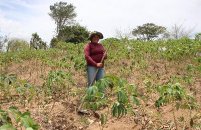 Mais de 20 mil agricultores alagoanos vão receber Garantia-Safra neste mês de março