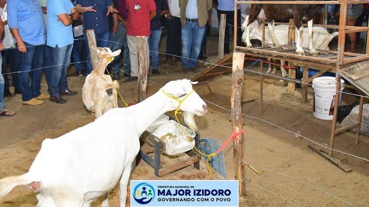Muita animação, cultura e música boa, marcam a abertura do 1º ForróLino, em Novo Lino
