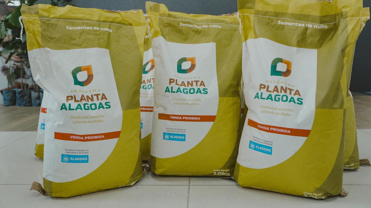 Planta Alagoas distribui 30 toneladas de sementes no Sertão nesta quinta-feira