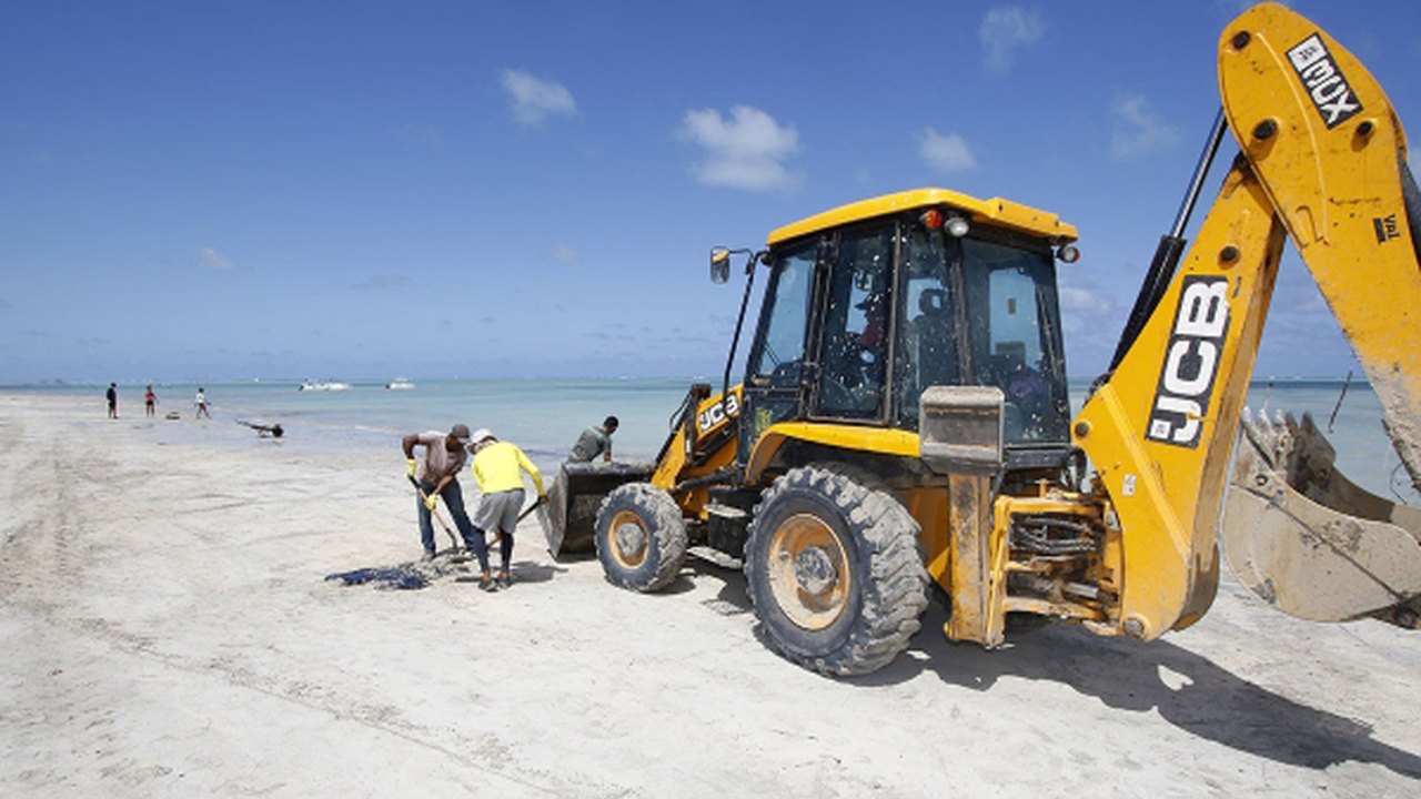 Nota técnica GTA: Situação do óleo nas praias de Alagoas nesta sexta-feira (18)