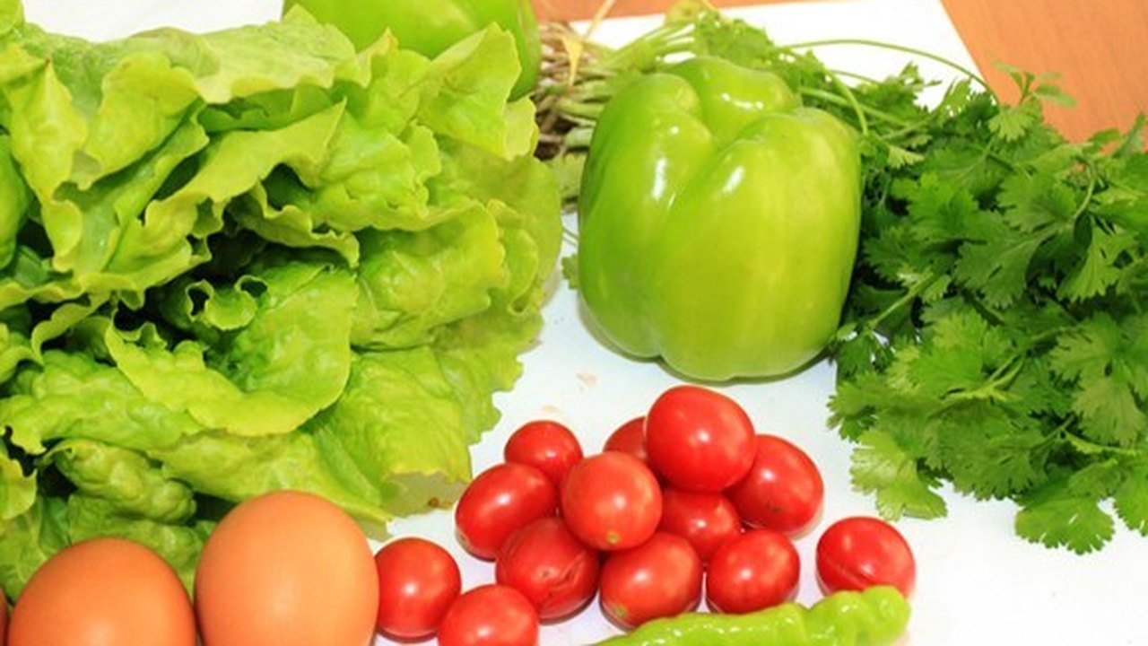 Horticultores conhecem ferramentas para melhorar produção de hortaliças