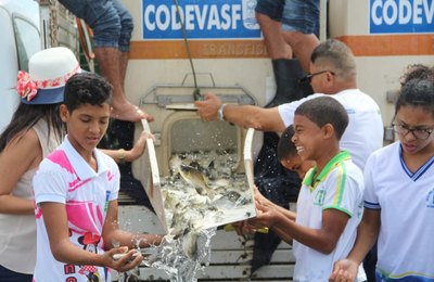 Prefeitura e Codevasf promovem peixamento do Lago da Perucaba 