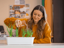 Horta em apartamento: 5 temperos para cultivar em vasos mesmo com pouco espaço