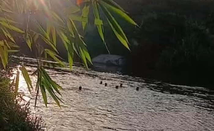 Grupo de pessoas em momento de lazer na Serra D`Água, em Matriz