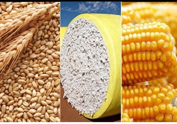 Estoque de produtos agrícolas totaliza 26,5 milhões de t no 2º semestre de 2019