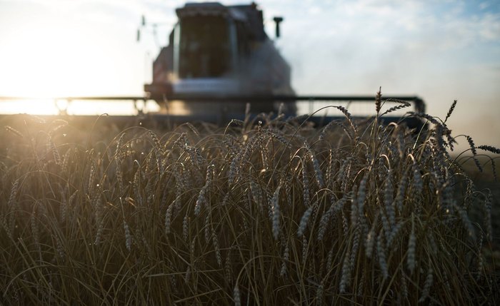 Guerra tarifária: após Brasil, China vai à Argentina substituir produtos agrícolas dos EUA Guerra tarifária: após Brasil, China vai à Argentina substituir produtos agrícolas dos EUA