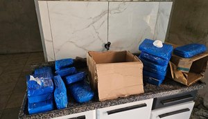 Polícia apreende 24 kg de cocaína avaliados em cerca de R$ 500 mil em Propriá / Foto: Foto: SSP/ Divulgação