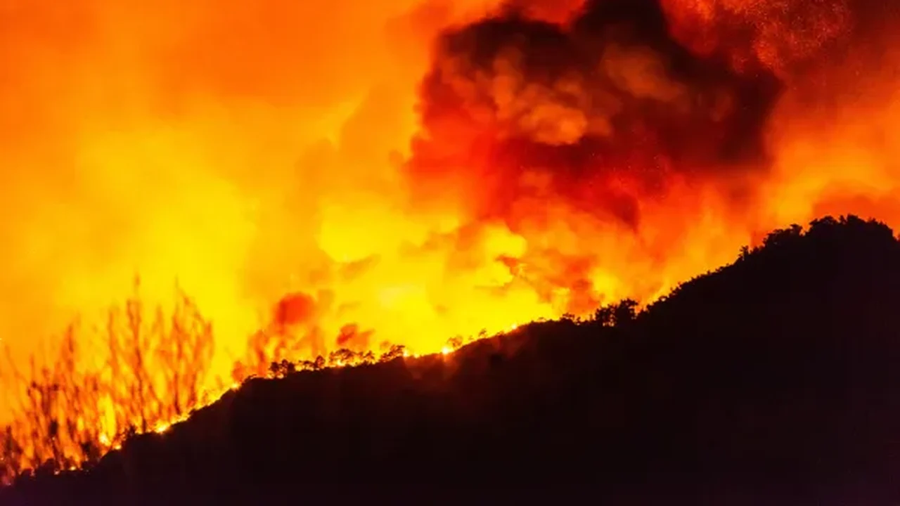 Forte calor na África e Europa dificulta combate às queimadas