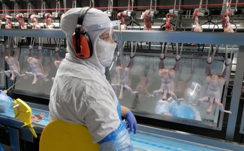 Governo lança medidas de controle para prevenir a covid-19 em frigoríficos