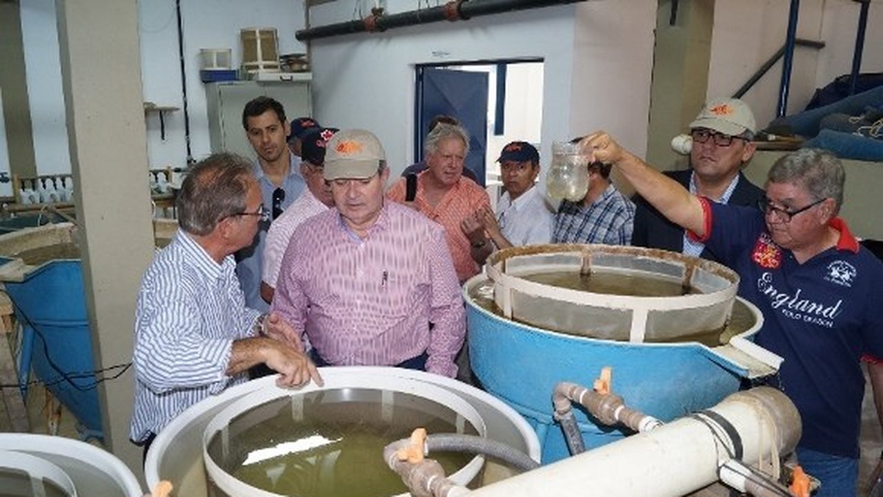 Governo e universidade norte-americana visitam centro de aquicultura