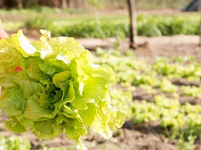 Programa liderado pela Sedetur transforma realidade de agricultores