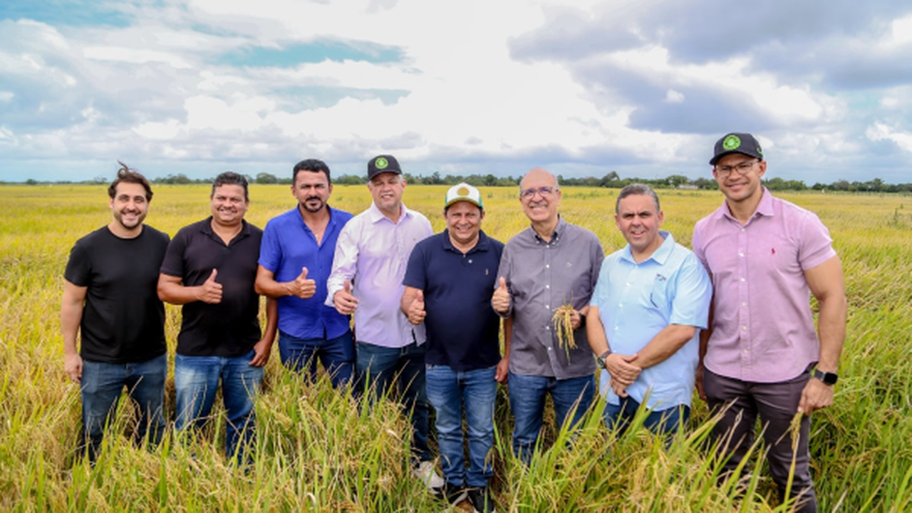 Prefeitura de Penedo e Cooperflores impulsionam economia da zona rural com plantio de arroz na Ponta Mofina