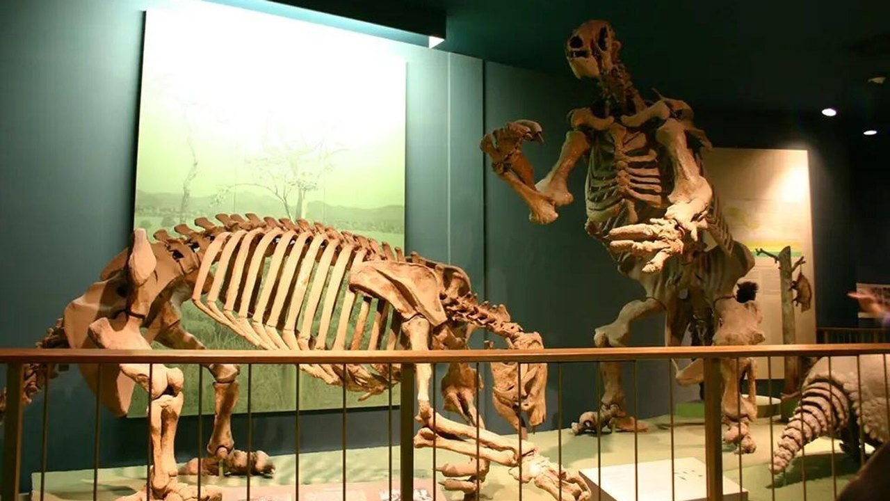 Estudo brasileiro revela que megafauna sobreviveu por mais tempo e desafia paradigmas (FOTOS)