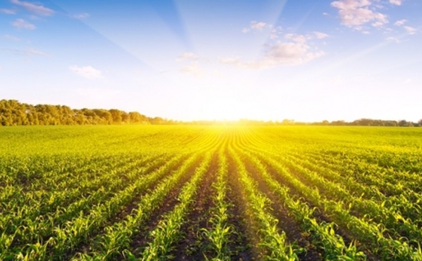 Experiências do Brasil na agricultura podem ajudar outros países a mitigar emissões, diz secretário do Mapa na COP26