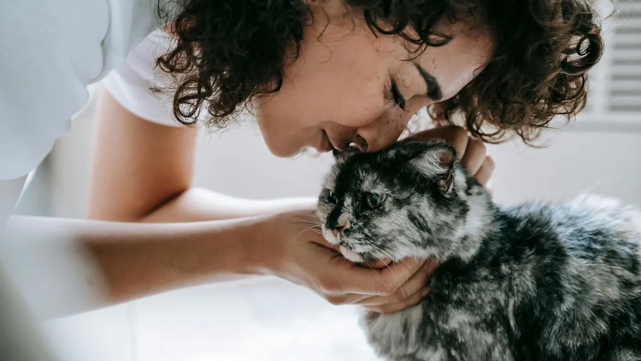 Orientação comportamental ganha espaço no cuidado com pets
