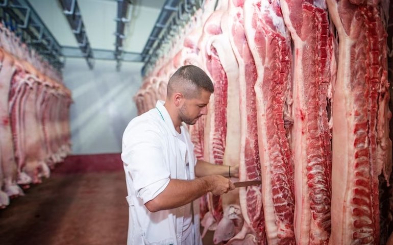 Uso de amônia requer aplicação de medidas preventivas