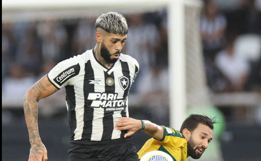 Empate do Botafogo aumenta ânimo do Palmeiras para a reta final do Brasileirão