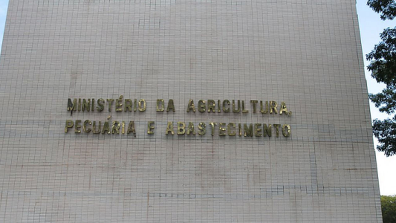 Agricultura coloca em consulta pública regulamento técnico para carne moída