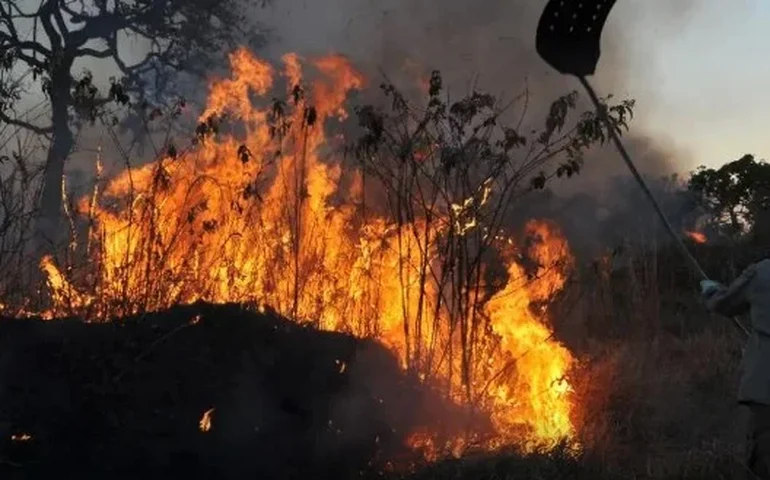 Medida provisória libera R$ 60,46 mi para combate a incêndios e desmatamento