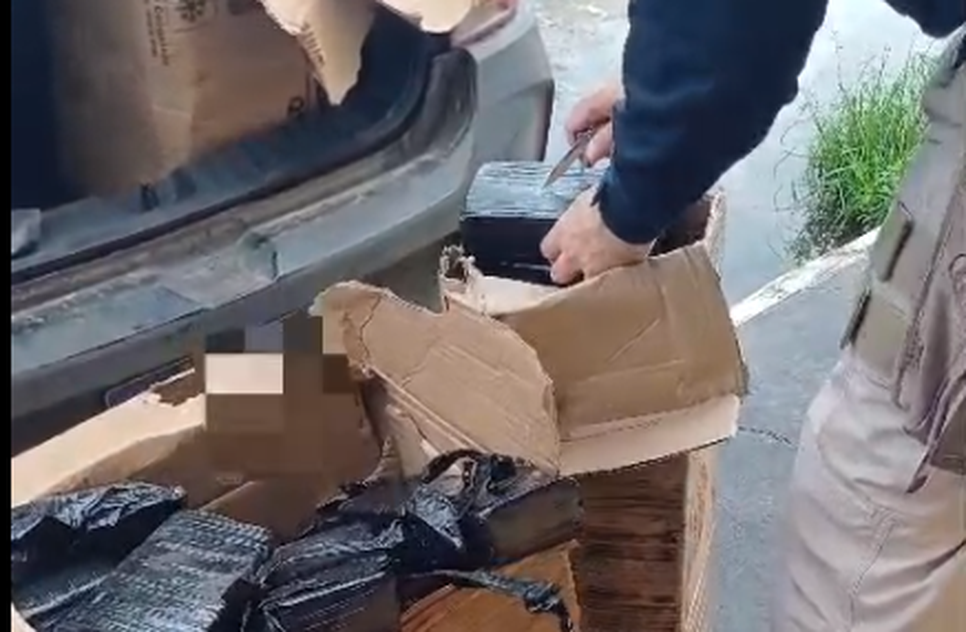 PRF apreende carga com maconha e cocaína / Foto: Foto: divulgação