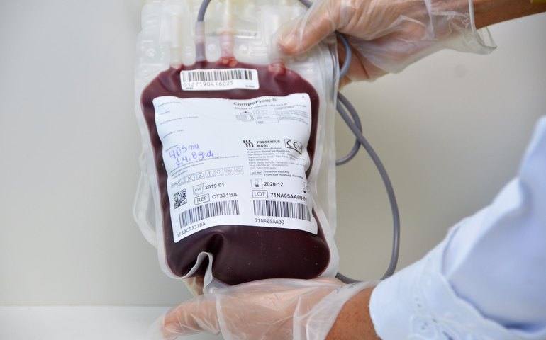 Hemoal promove I Fórum de Alinhamento em Hemoterapia com Foco na Vigilância Sanitária
