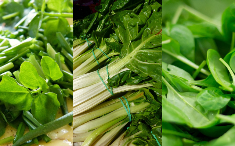 Salsinha, espinafre: estudo americano define os 10 alimentos mais saudáveis do mundo; veja o ranking
