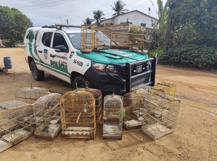 Operação Onda Verde da PM apreende aves silvestres e arma de fogo no interior