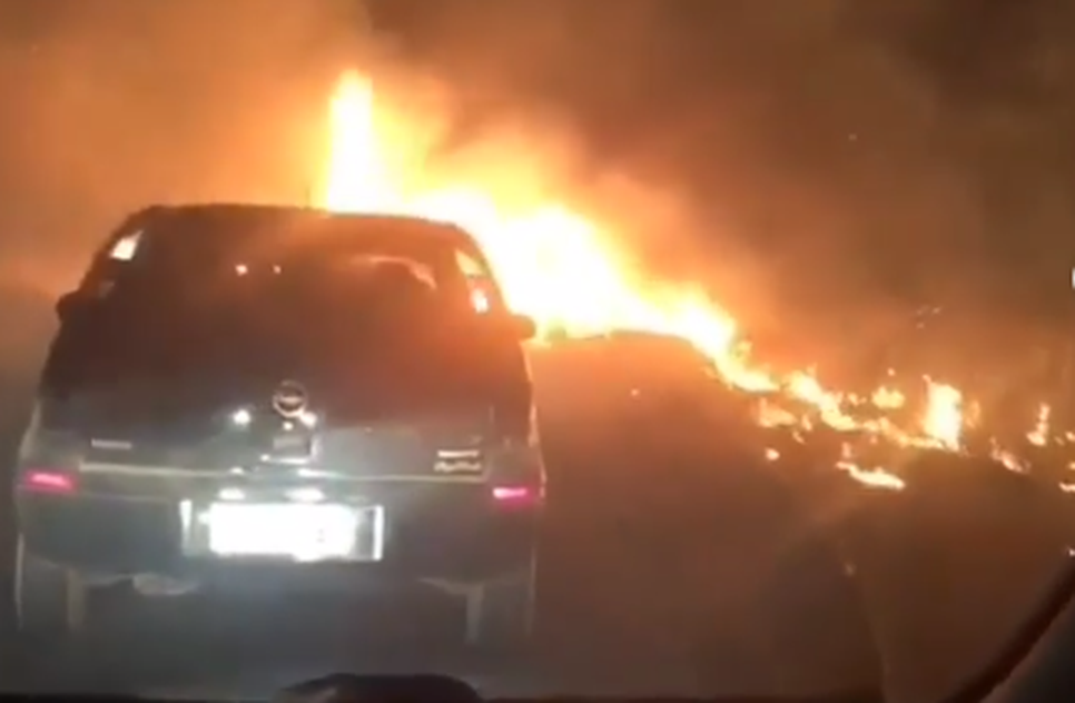 Incêndio na vegetação deve ser mais comum nessa época do ano / Foto: Redes Sociais