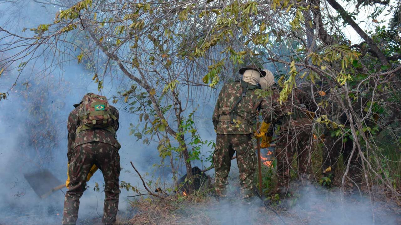 Brigada Lobo D’Almada realiza exercício da força de poio à defesa civil